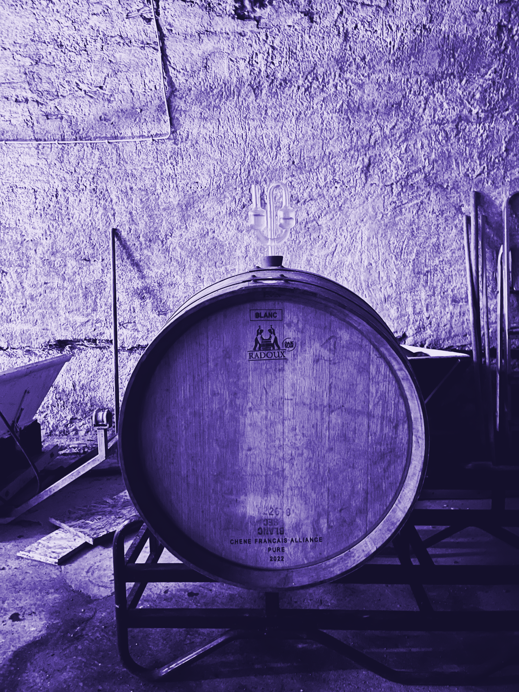 Weinkeller der Pink Noise Winery