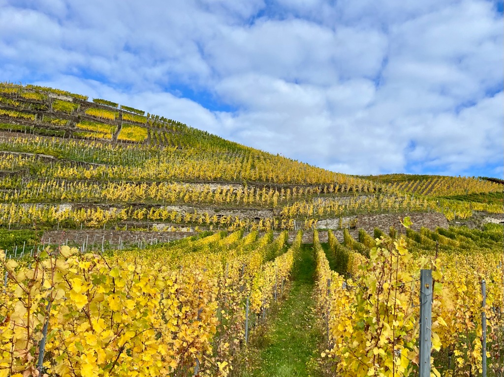 Herbstliche Terrassen